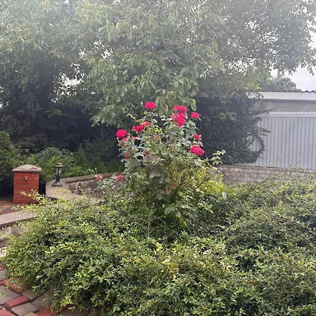 בית נופש House Near The Sea
